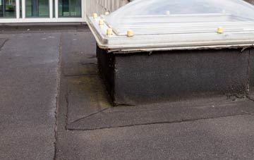 disadvantages of Nantycaws flat roofs